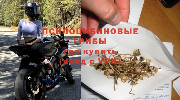 прущие грибы Абинск