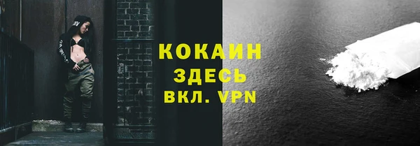 прущие грибы Абинск