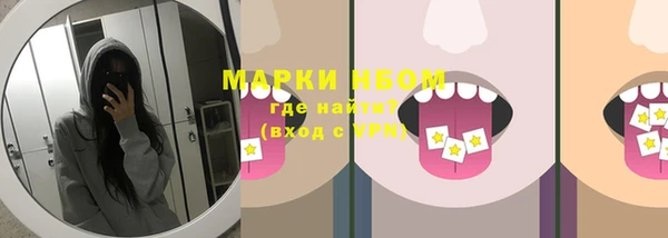 прущие грибы Абинск