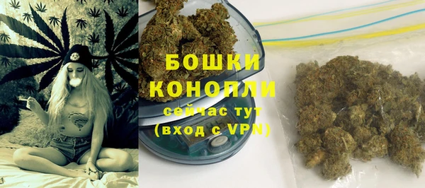 хмурый Инта