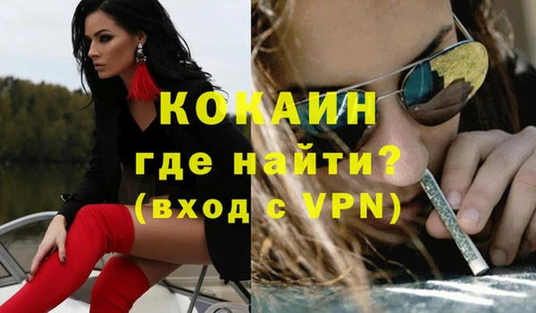 прущие грибы Абинск